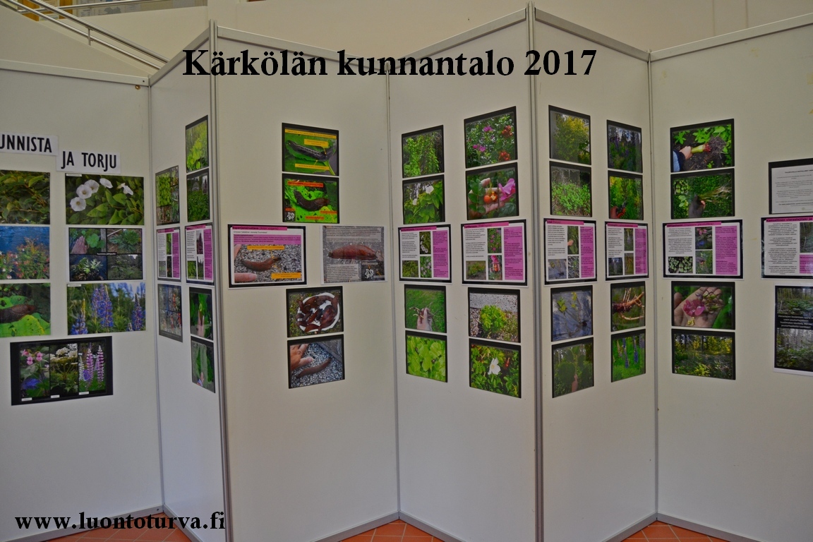 Karkolan_kunnantalolla_tiedotusta_vieraslajeista_2017_Luontoturva.fi.JPG