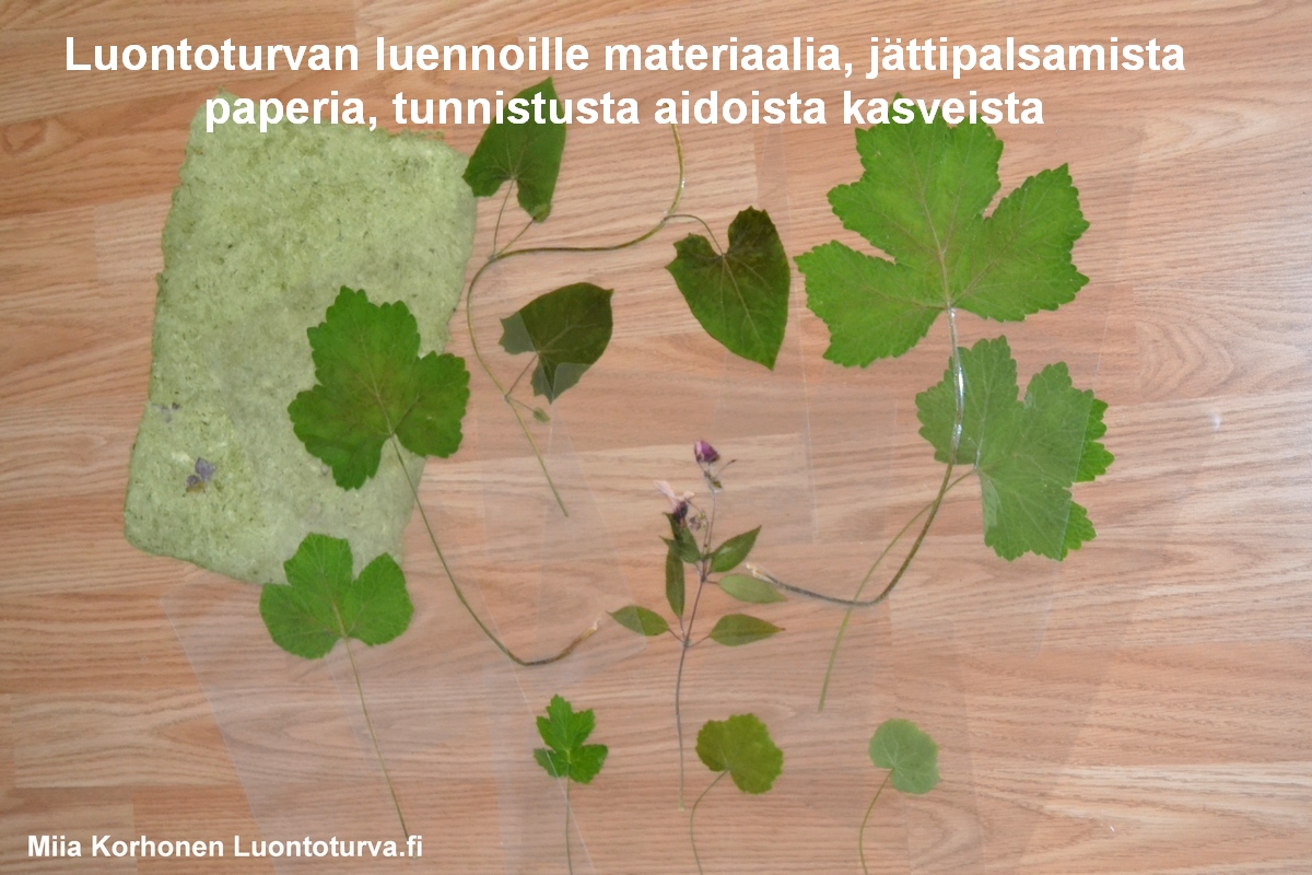 Luontoturvan_materiaalia_luennoille_ja_nayttelyihin_.JPG