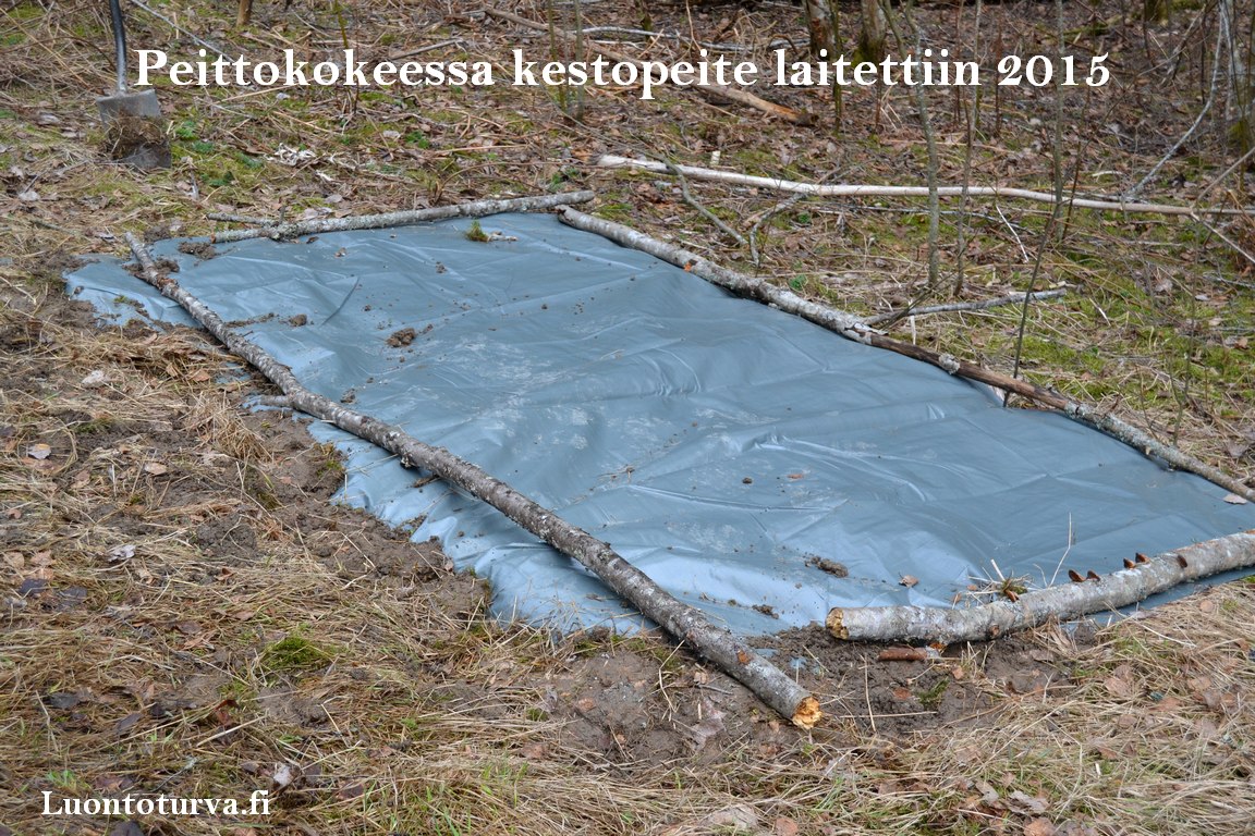 2015_peittokoe_kestopeite_Luontoturva.fi.JPG