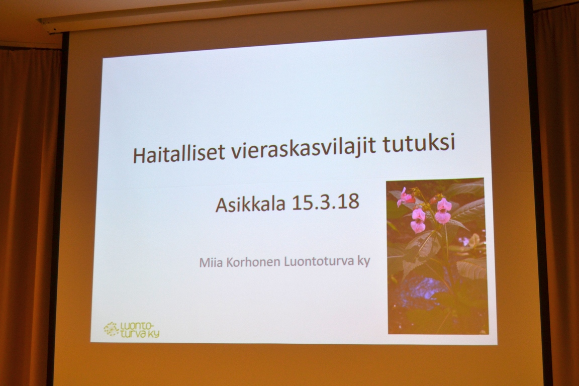 Asikkalassa_tutustuttiin_haitallisiin_vieraskasveihin_Luontoturva.fi.JPG