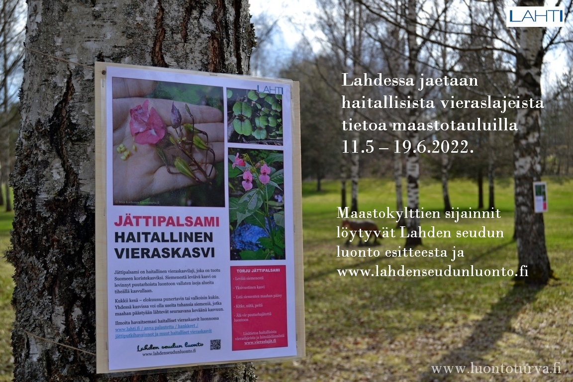Lahdessa_2022_tietoa_haitallisista_vieraslajeista_maastotauluilla_Luontoturva.fi.JPG