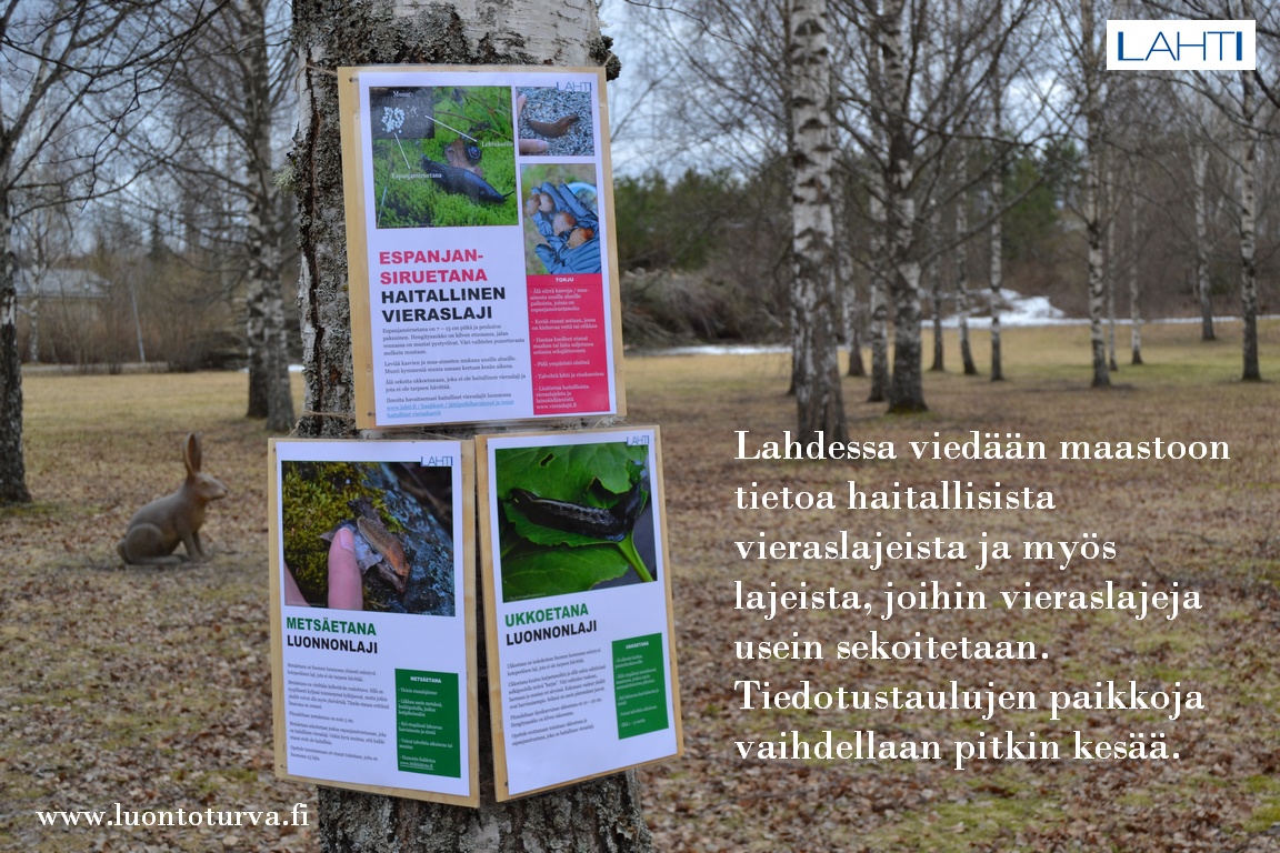 Lahdessa_tiedotetaan_maastossa_vieraslajeista_www.luontoturva.fi.JPG