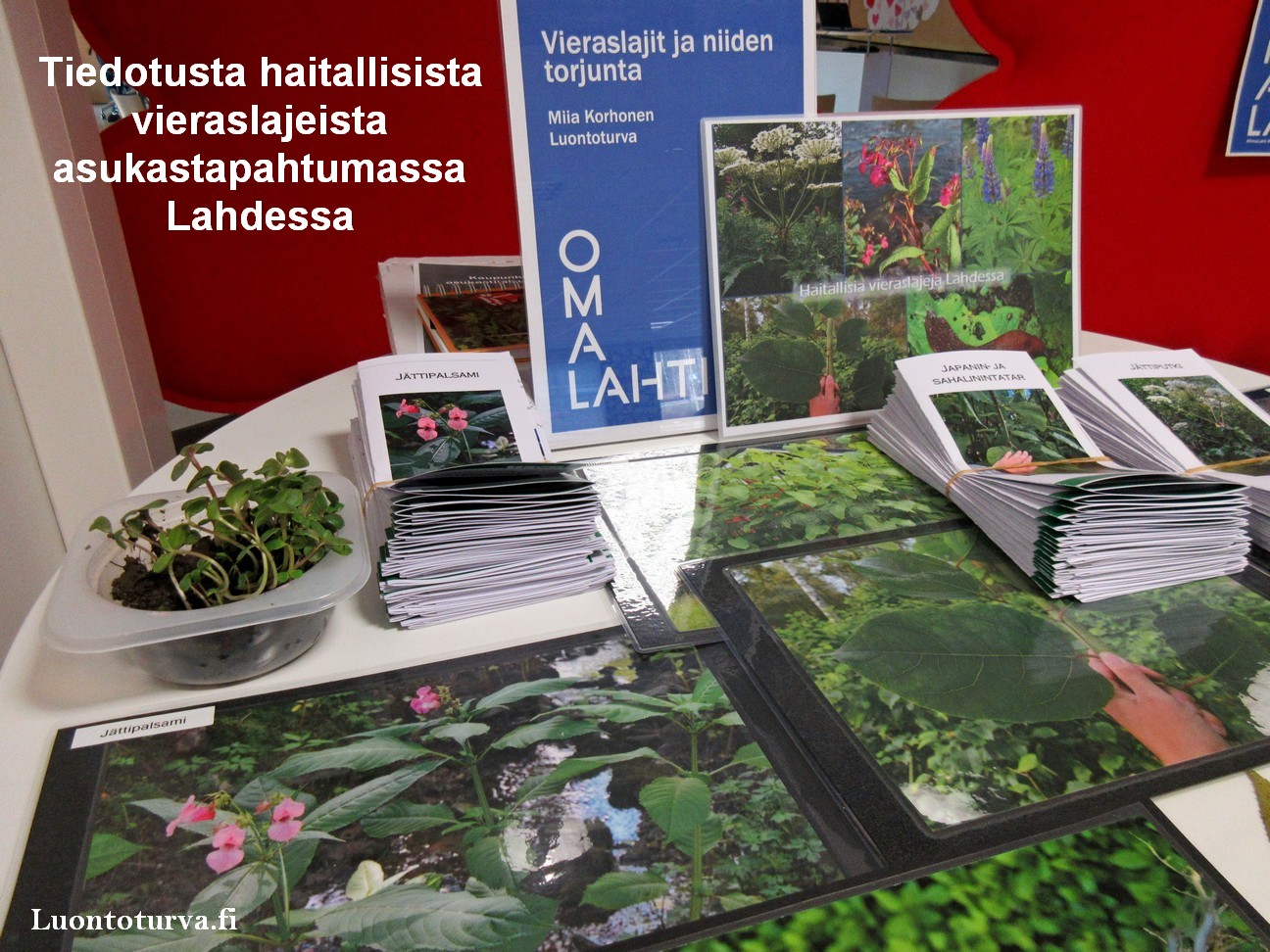 Lahdessa_tiedotusta_asukastilaisuus_Luontoturva.fi.JPG