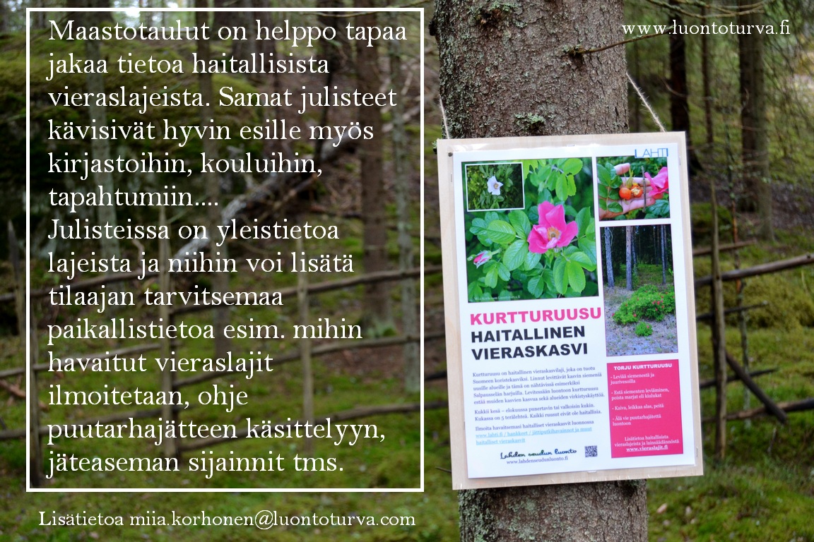 Luontoturva_maastotiedotusta_vieraslajit_www.luontoturva.fi.JPG