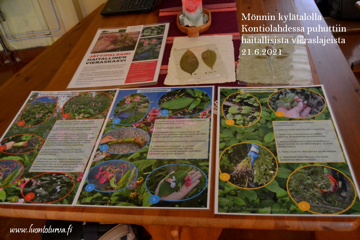 Monnin_kylatalolla_Kontiolahdella_puhetta_haitallisista_vieraslajeista_Luontoturva.fi.JPG