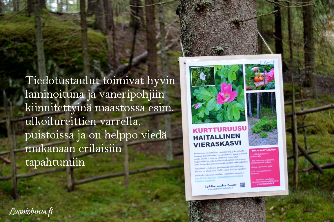 tiedotusta_haitallisista_vieraslajeista_Luontoturva.fi.JPG